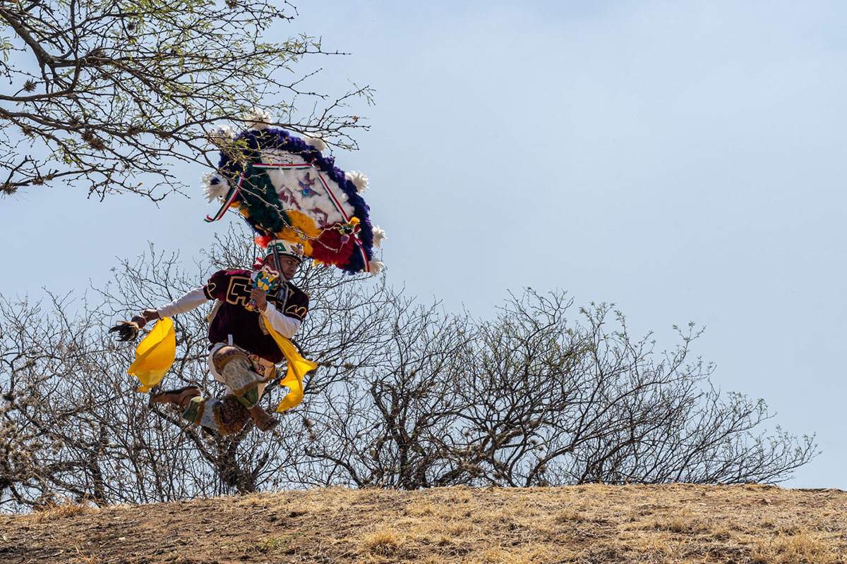 Dance and Identity: How Movement Reflects Our Cultural Roots