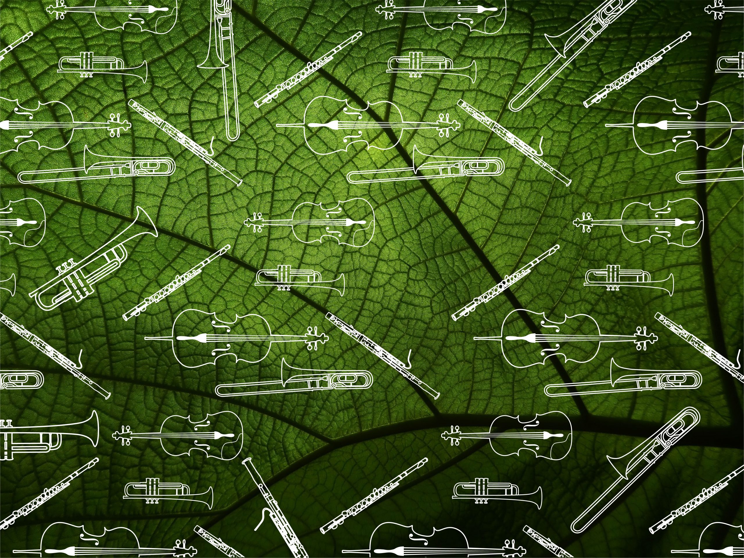 Musical Composition and Sustainability: Creating Music with Ecological Materials and Practices