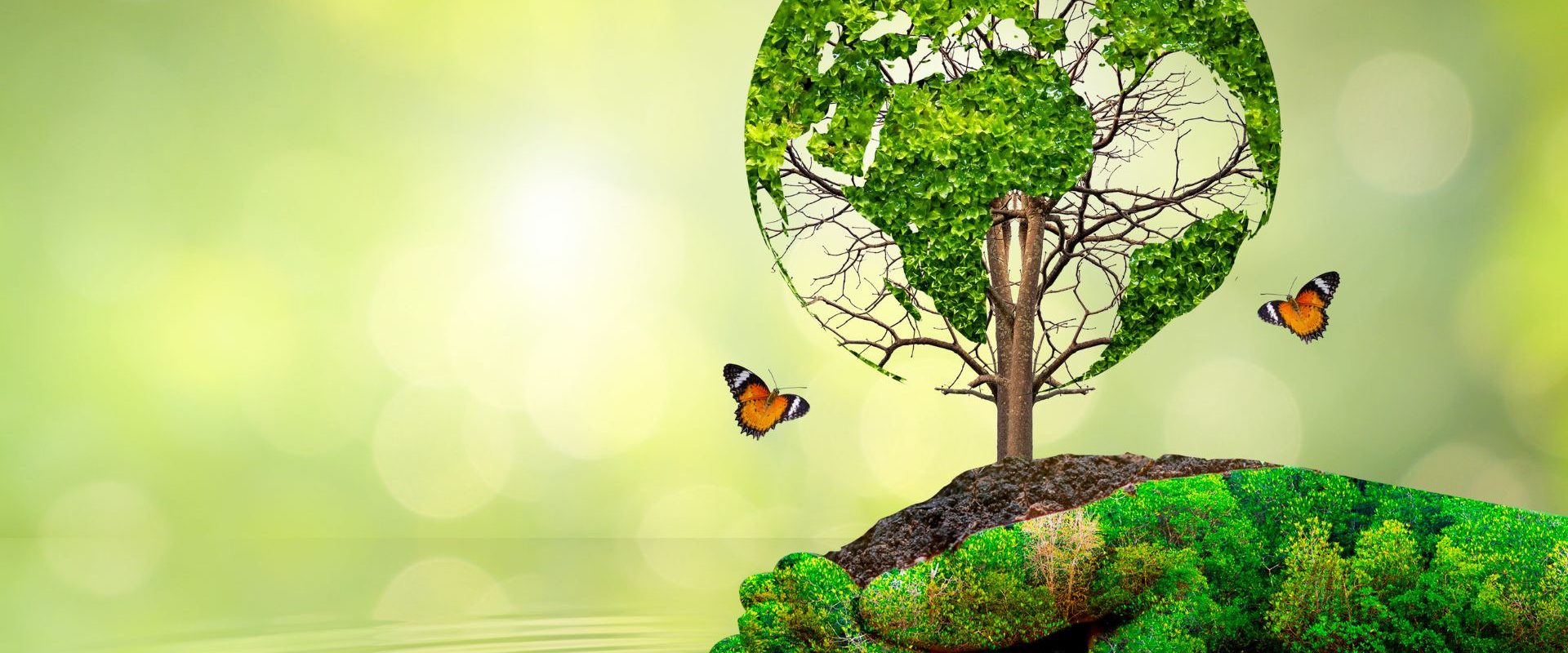 The relationship between art and nature: projects that integrate the environment