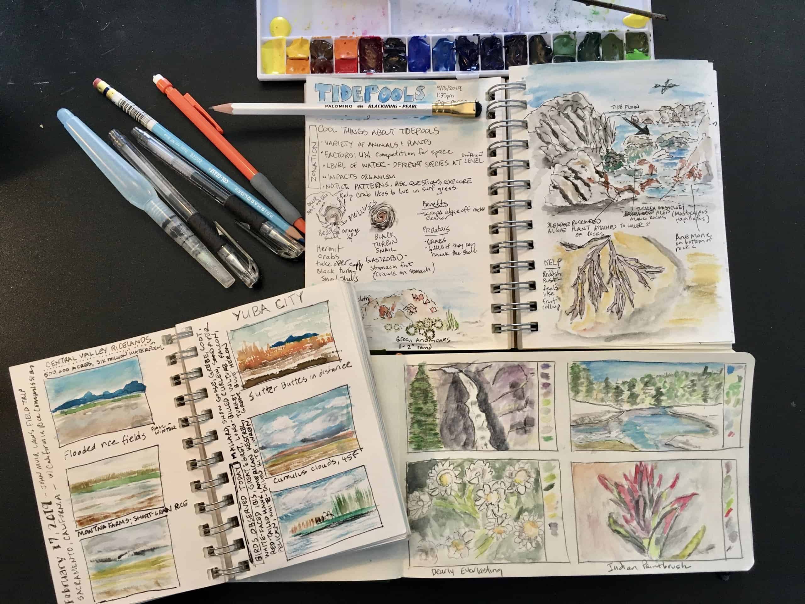 Writing and Nature: How Observing the Natural World Can Inspire Poems and Stories